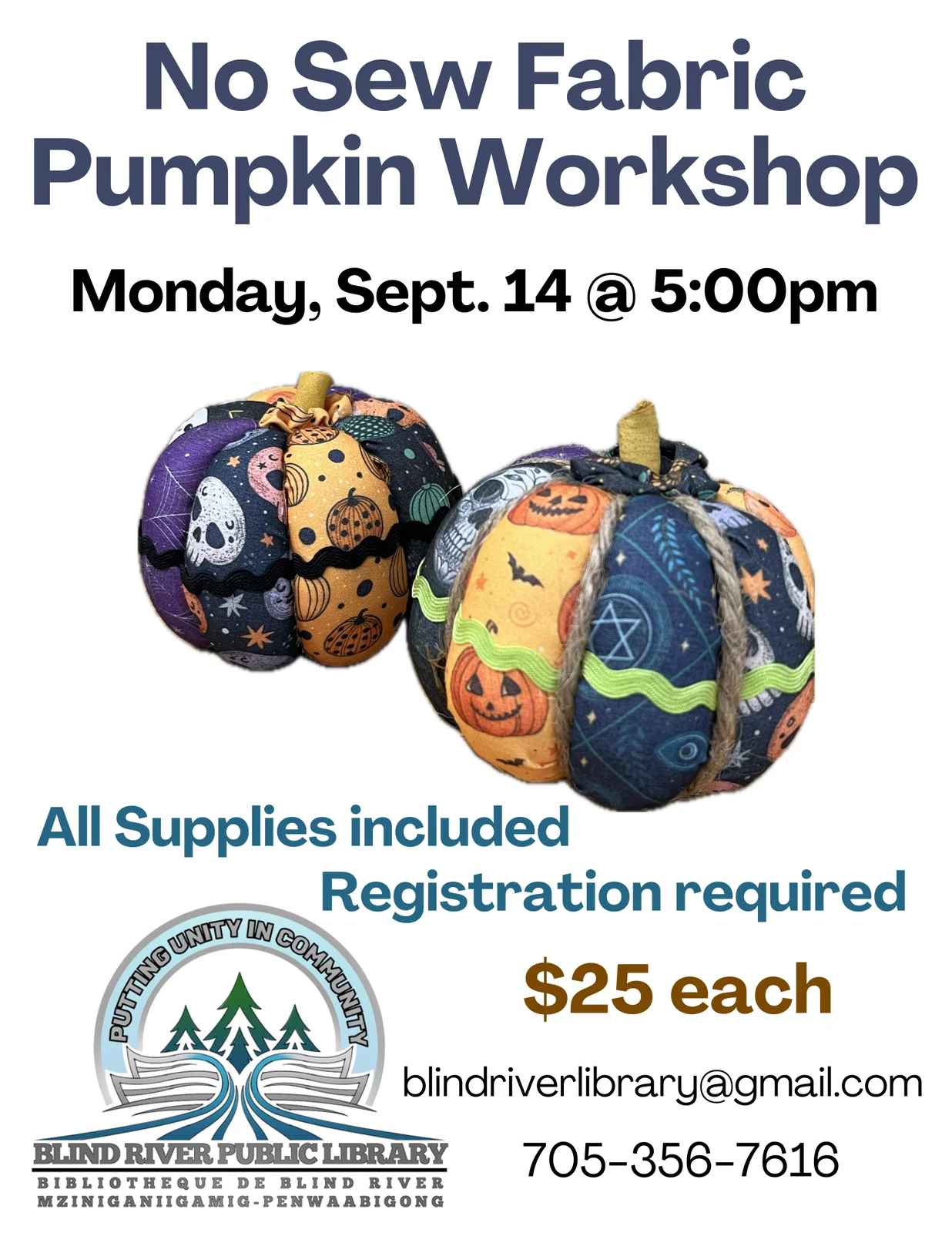 Display Image for No Sew Fabric Pumpkin Workshop
